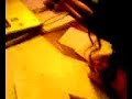 peyda-apart.html