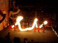 2008 Vietnam Internationl Lion Dance Championship Dragon Dance