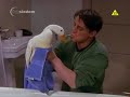 Friends - Duck XD Friends - Duck XD