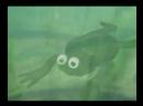 Froggy McScroggy: Don't Give Up (1st Draft) Froggy McScroggy: Don't Give Up (1st Draft)