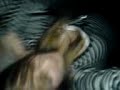 RAVE. - jaydeys; RAVE. - jaydeys;