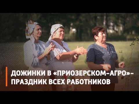 На Жыткаўшчыне ўпершыню ў гісторыі гаспадаркі адразу тры экіпажы камбайнераў – тысячнікі видео