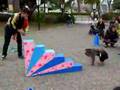 Monkey Show in Mito, Ibaraki - Japan