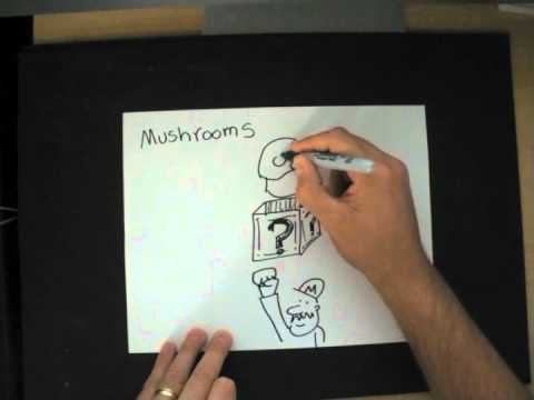 Draw Mushrooms | Doodle Ideas