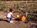 2008 Oct 19-25 pumkin patch 10 mp 252.mov