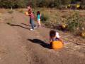 2008 Oct 19-25 pumkin patch 10 mp 252.mov