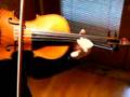 Old German Amati Violin, Mendelssohn e minor excerpt