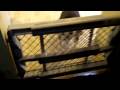 videos de Gertie at the gate