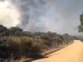 Bomberos casi mueren al quedar atrapados en medio incendio forestal en el sur de Chile