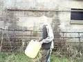 thirsk jackass all