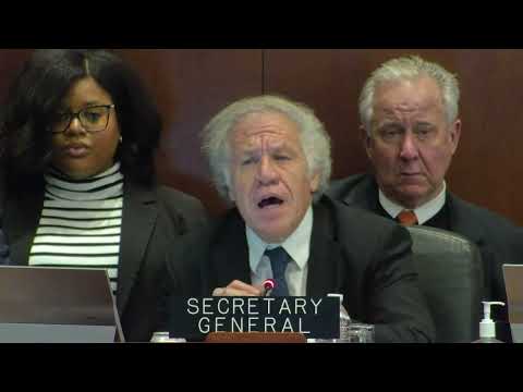 Bernardo Arévalo se presenta en la sesión del Consejo Permanente de la OEA
