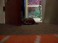 The-Bedroom-Door