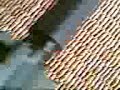 M4 Socom DBoyi M4 Socom DBoyi