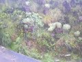 Paramo del Verjon