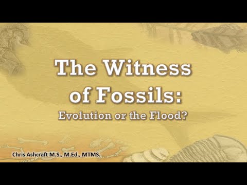 Fossils and the Bible – Chris Ashcraft