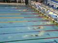 videos de FINA worldcup final 2008 Berlin 200m butterfly