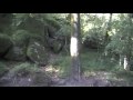 amazing gardens in Sintra Portugal