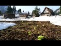 Click here to watch this video 雪が溶けて、顔を出しました
