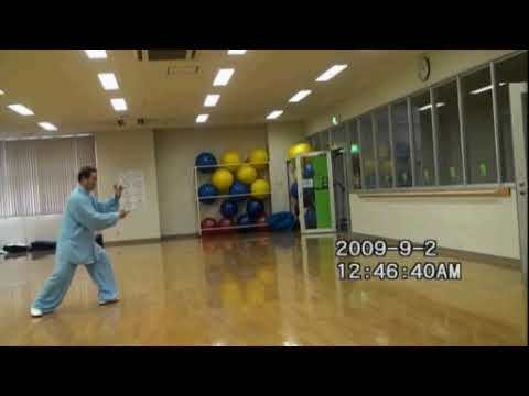 24式太極拳taichi quan