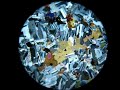 Petrology - D - Diorite cross polairsed Petrology - D - Diorite cross polairsed