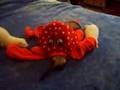 Ferrets in the octopus!