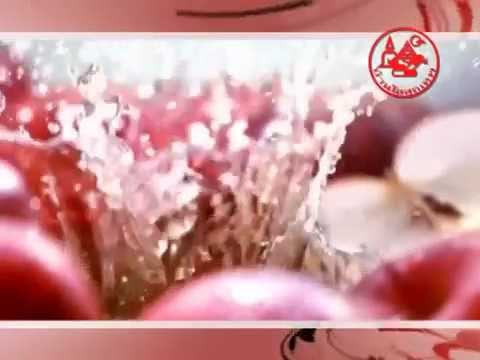 ตรีผลา - ตรีผลา (TRIPHALA) - ปรับสมดุลของธาตุ ช่วยเลือดฝาดทั่วร่างกาย ด้วยส่วนประกอบสำคัญ...