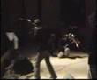 videos de paranoya-bir kulunu çok sevdim (ibo)