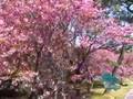 Turtle Head Islet park,Wuxi,China - YouTube