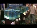 Ecotech Vortech Wireless Driver at MACNA 19 in Pittsburgh!! Ecotech Vortech Wireless Driver at MACNA 19 in Pittsburgh!!