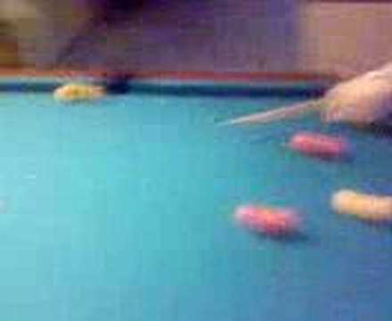 bobbi billard
