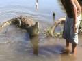 Crocodile Man Tour  -  Costa Rica Surf Tour .com