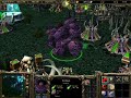DoTA Shuffler