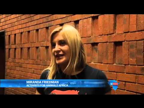 Geen pleitooreenkoms vir Hugo Ras / No plea agreement for Hugo Ras Geen pleitooreenkoms vir Hugo Ras / No plea agreement for Hugo Ras