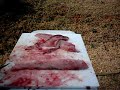 How2 filet a \"Striper\" Striped Bass