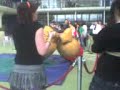 Sumo Wrestling At SEEC