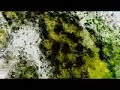 Takagi Masakatsu - Girls - Lumines II
