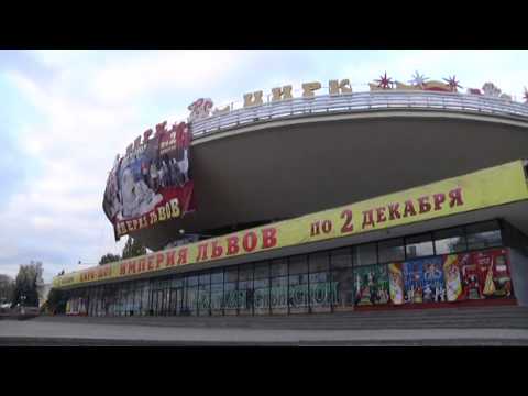 В Гомельском цирке показали премьеру новой программы "Империя львов" видео