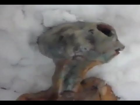 alien