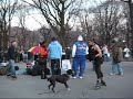 Show a New York