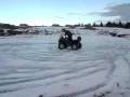 videos de grizzly on ice