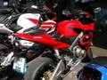 Motorcycles for rent in thailand - אופנועים להשכרה בתאילנד
