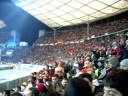 Hertha : Gala 3.12.08 Gala-Fans machen stimmung