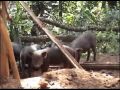 Tour 4 WD Northern Thailand