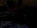 my cat my cat