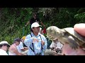 All for Science... The Turtle Video