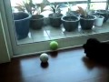 Hard vs Soft Tennis