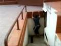 videos de AVaNCe FLaSh 2008