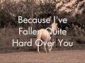 i think possibly maybe i ve fallen for you lyrics