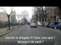 Pietonul kamikaze si adormita din intersectie