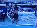 Fat guy belly flop contest
